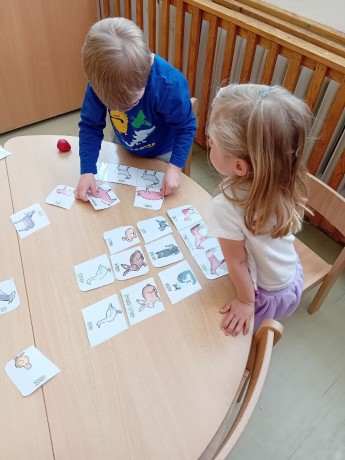 fotografie - 2025-05-05T203041.913