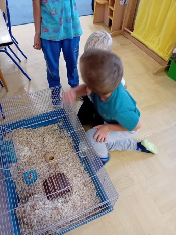 fotografie (44)