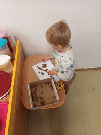 fotografie - 2025-11-01T090730.606