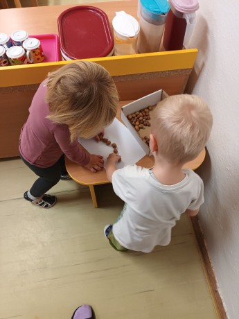 fotografie - 2025-11-01T090740.946