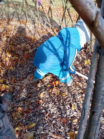 fotografie - 2025-11-09T090605.694