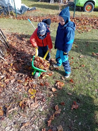 fotografie - 2025-11-09T090608.898