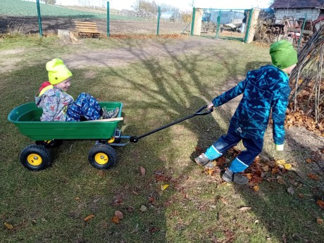 fotografie - 2025-11-09T090609.831