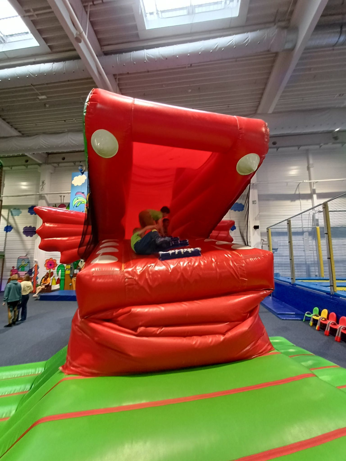 fotografie - 2026-06-15T070428.019