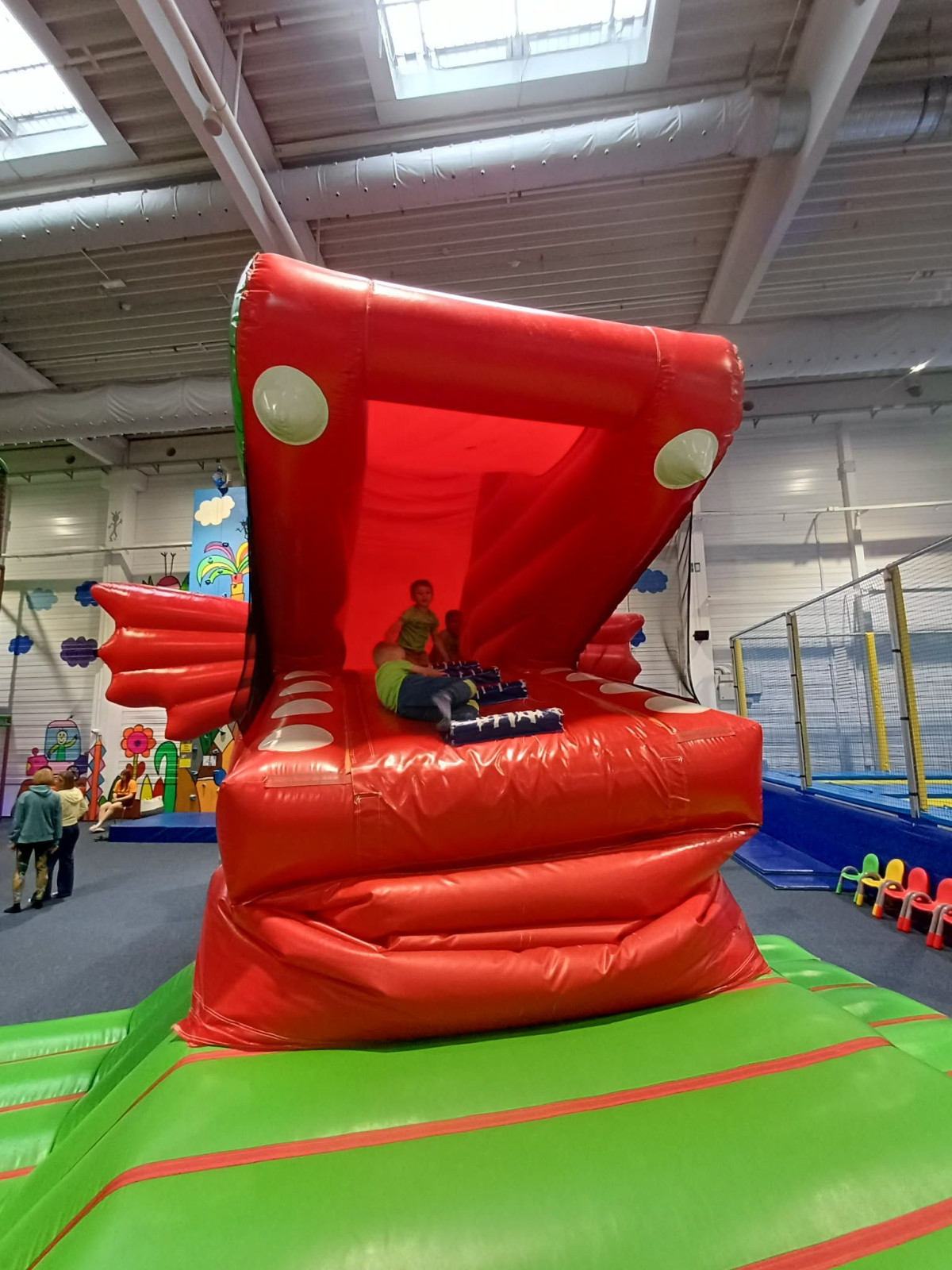 fotografie - 2026-06-15T070429.667