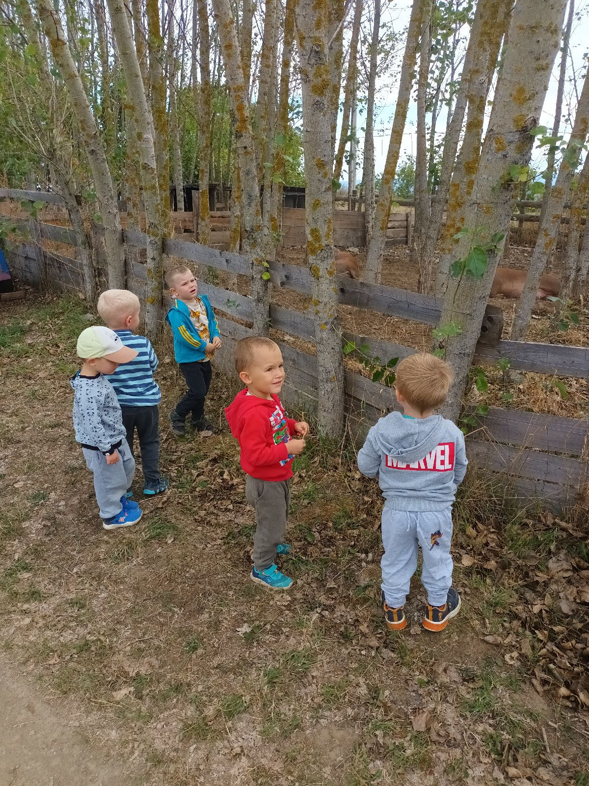 fotografie - 2026-09-07T123923.815