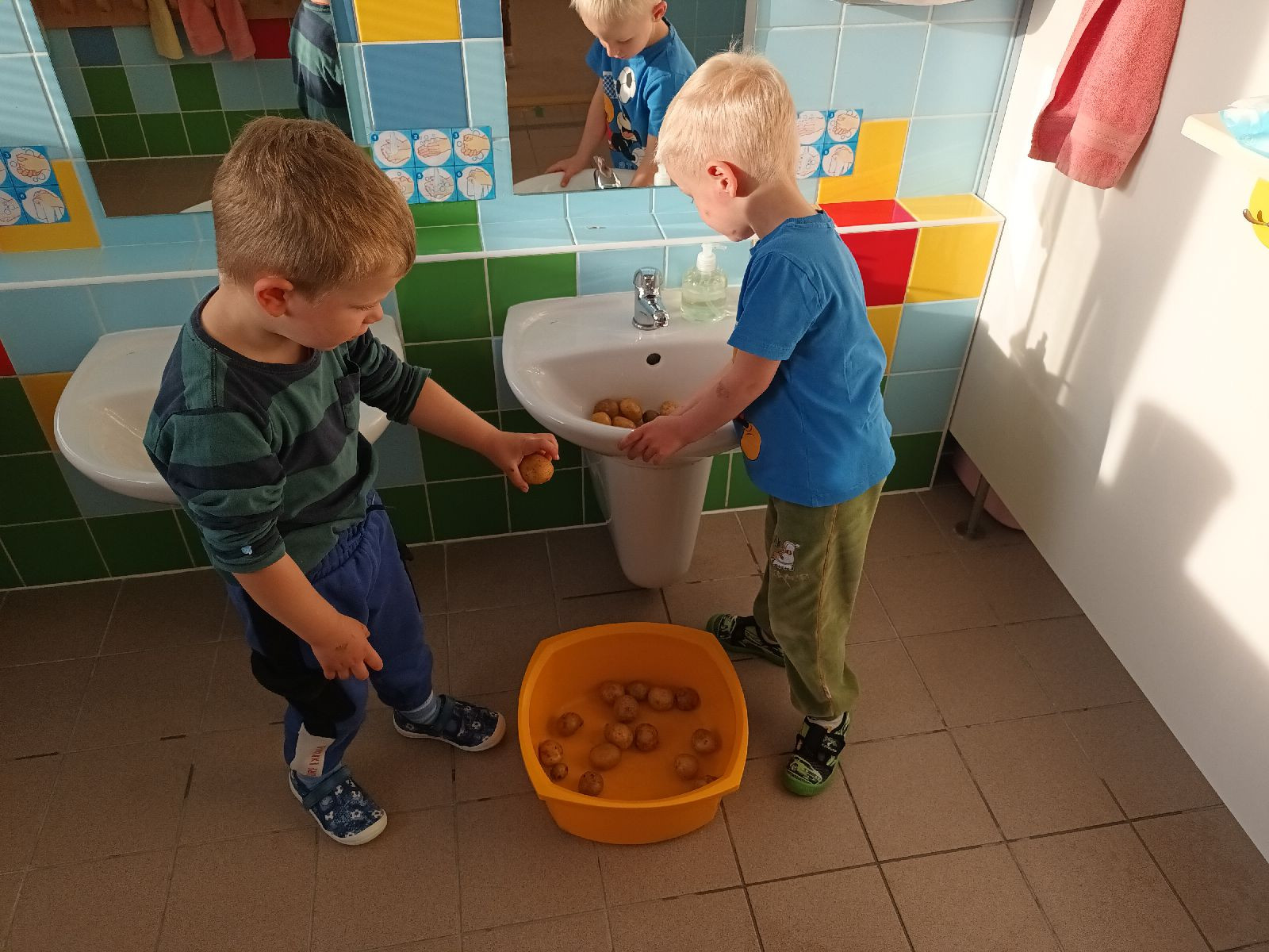 fotografie - 2026-10-06T214428.062