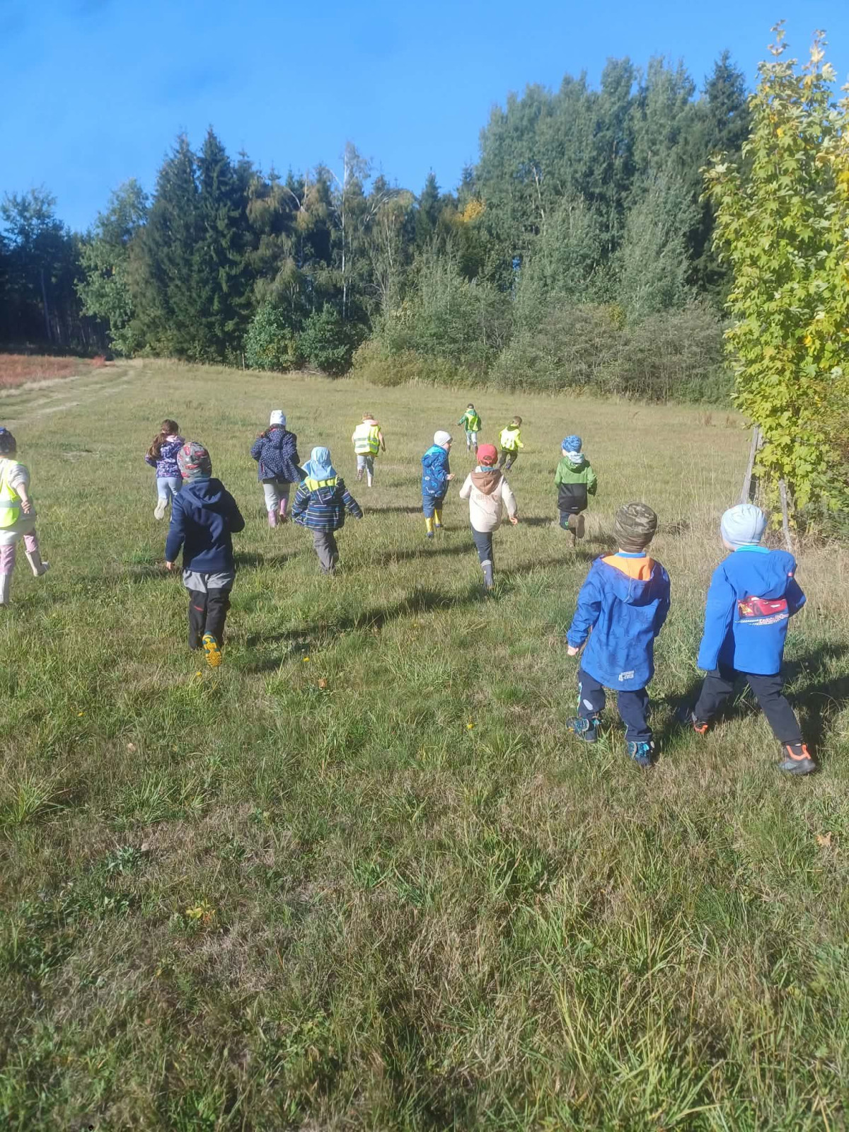 fotografie - 2026-10-06T213935.583