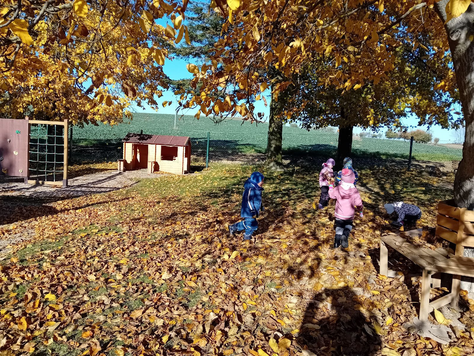 fotografie - 2025-11-01T090028.154