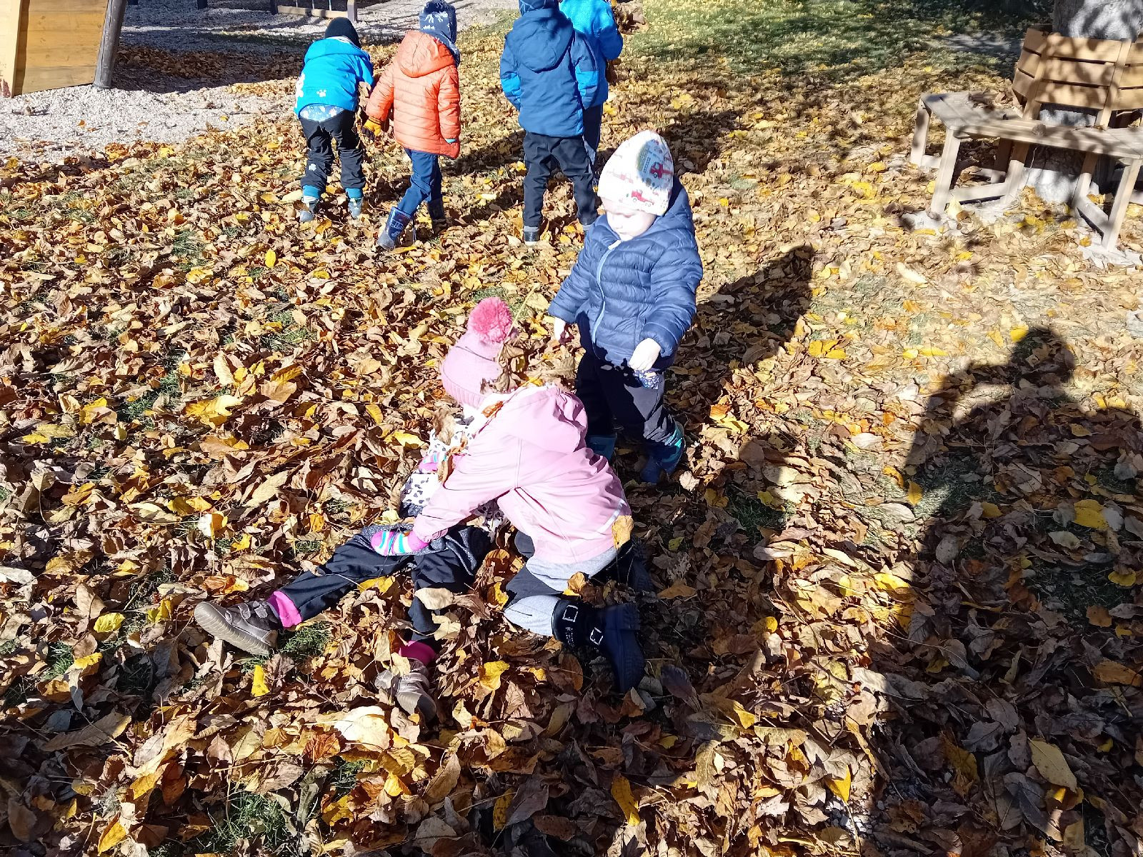 fotografie - 2025-11-01T090029.701