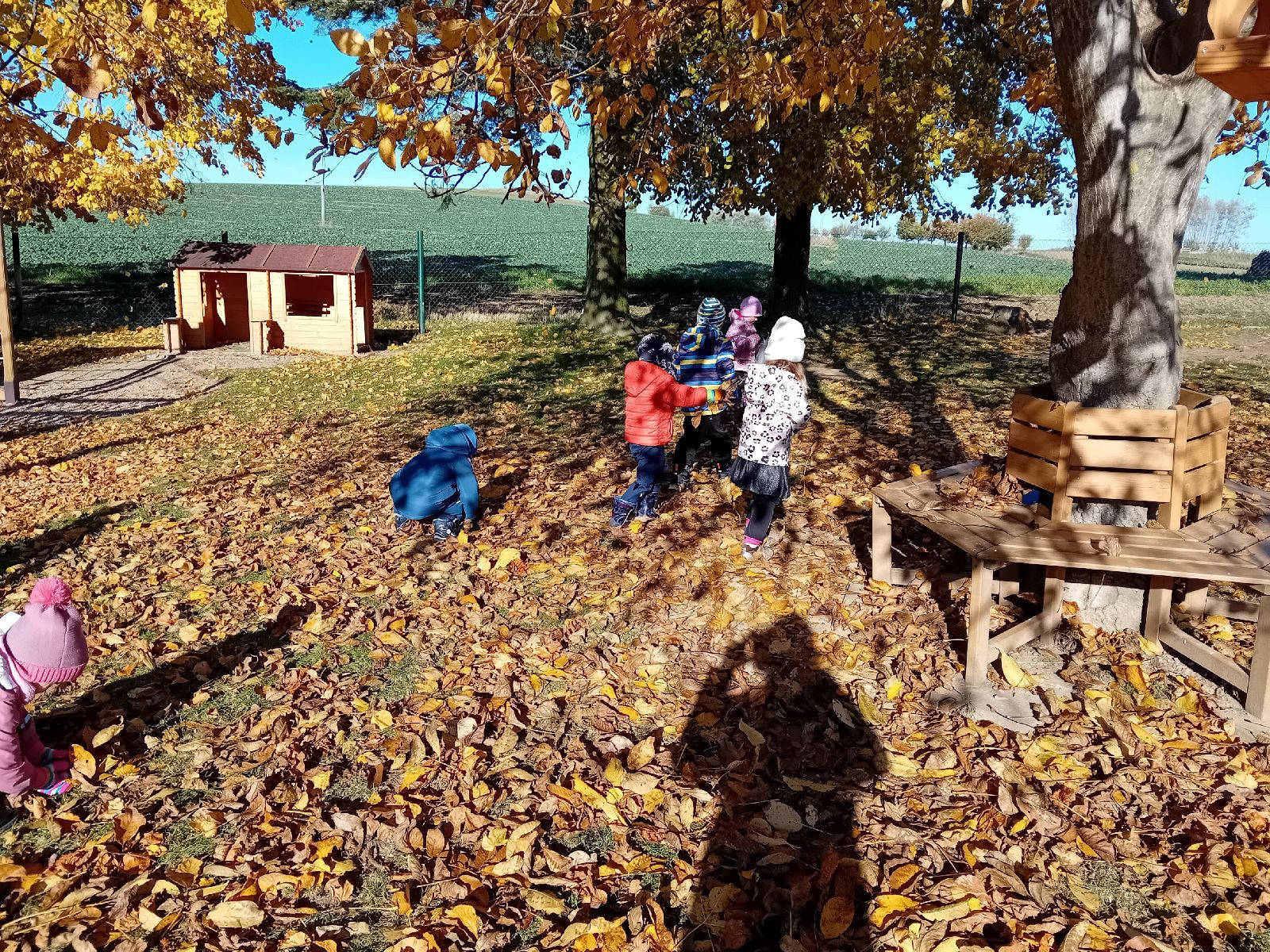 fotografie - 2025-11-01T090030.632