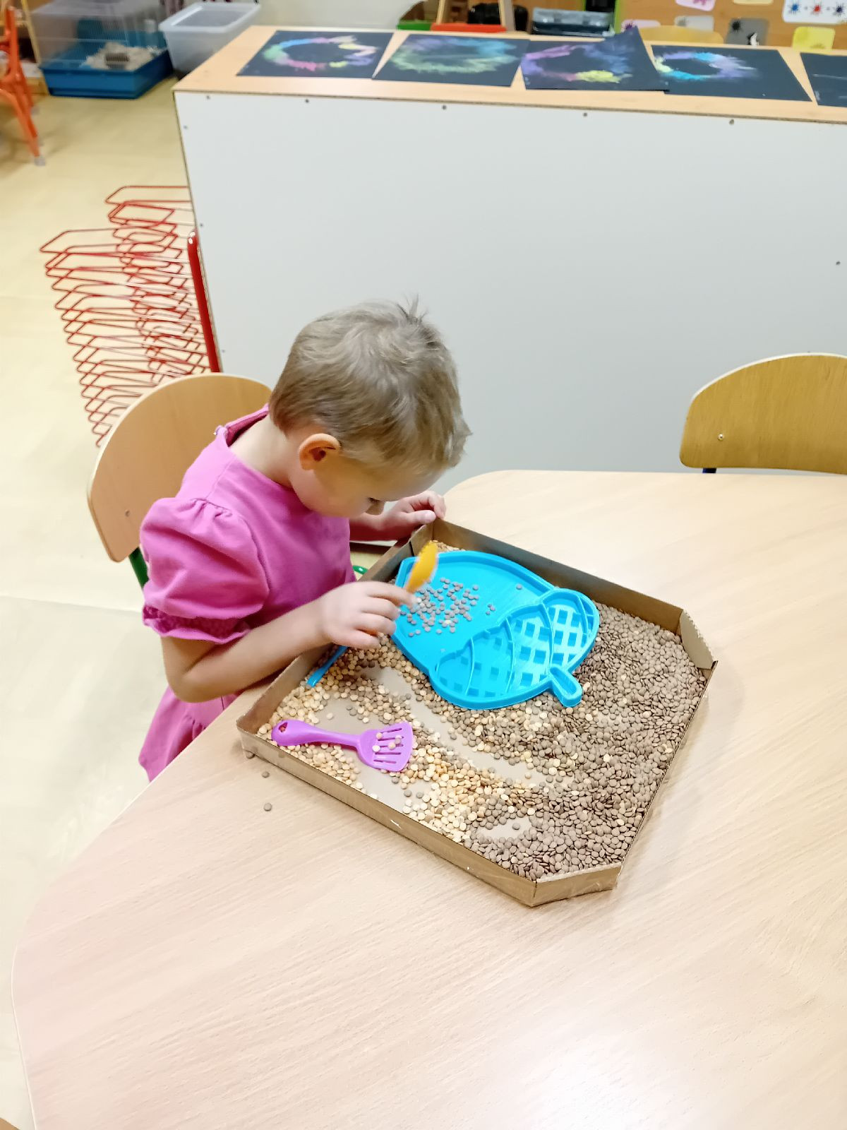 fotografie - 2025-11-01T090032.266