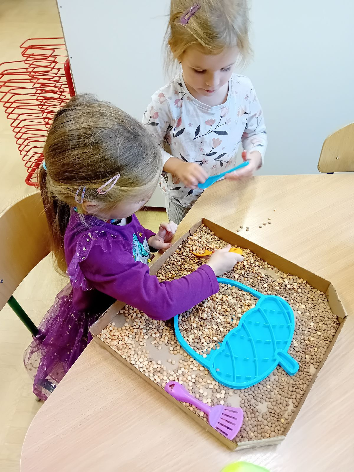 fotografie - 2025-11-01T090037.256