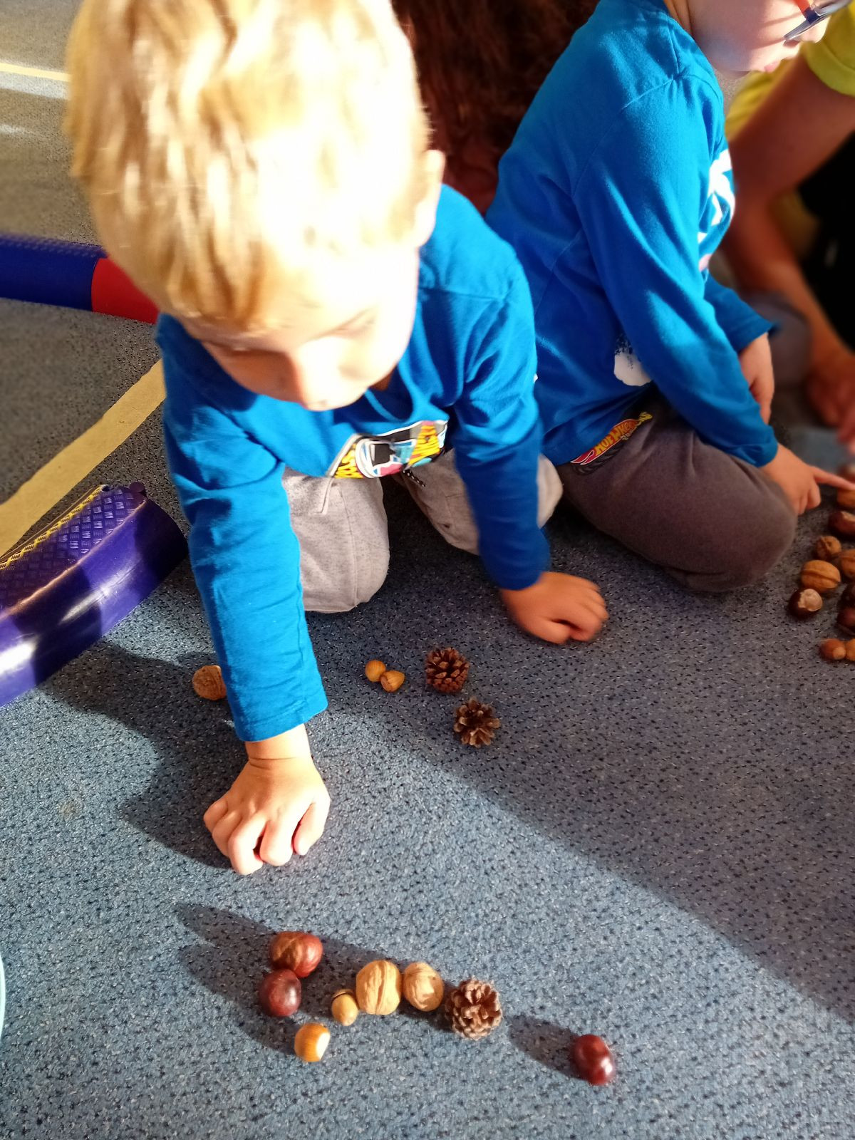 fotografie - 2025-11-01T090043.928