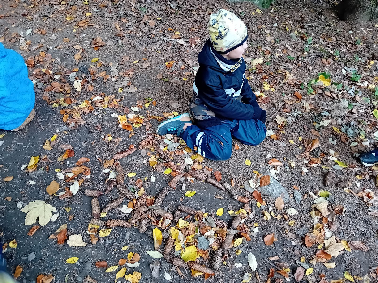 fotografie - 2025-11-01T090049.400