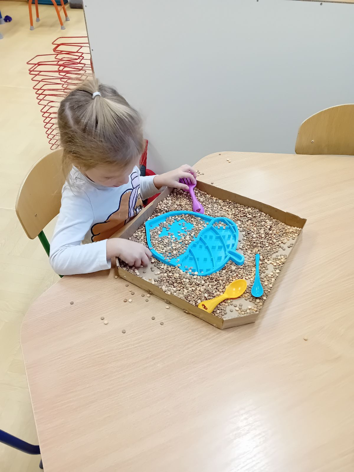 fotografie - 2025-11-01T090059.182