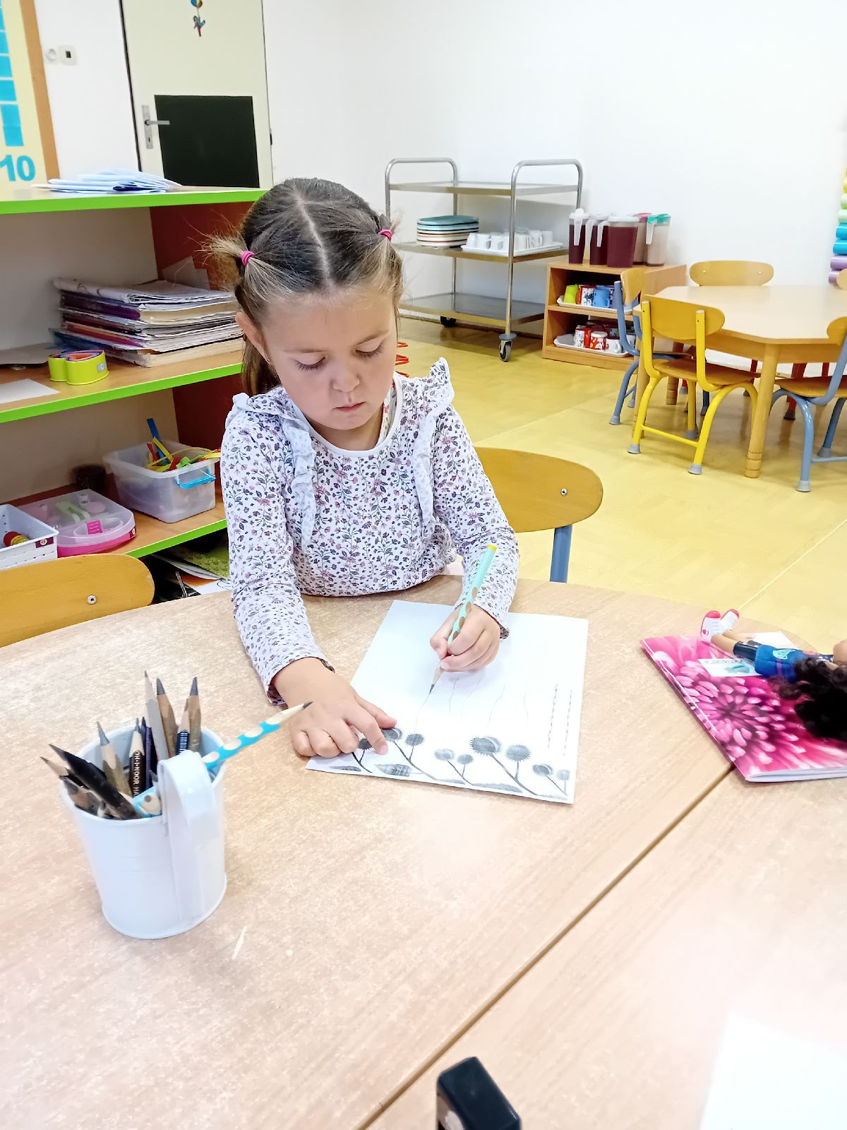 fotografie - 2025-11-01T090104.558