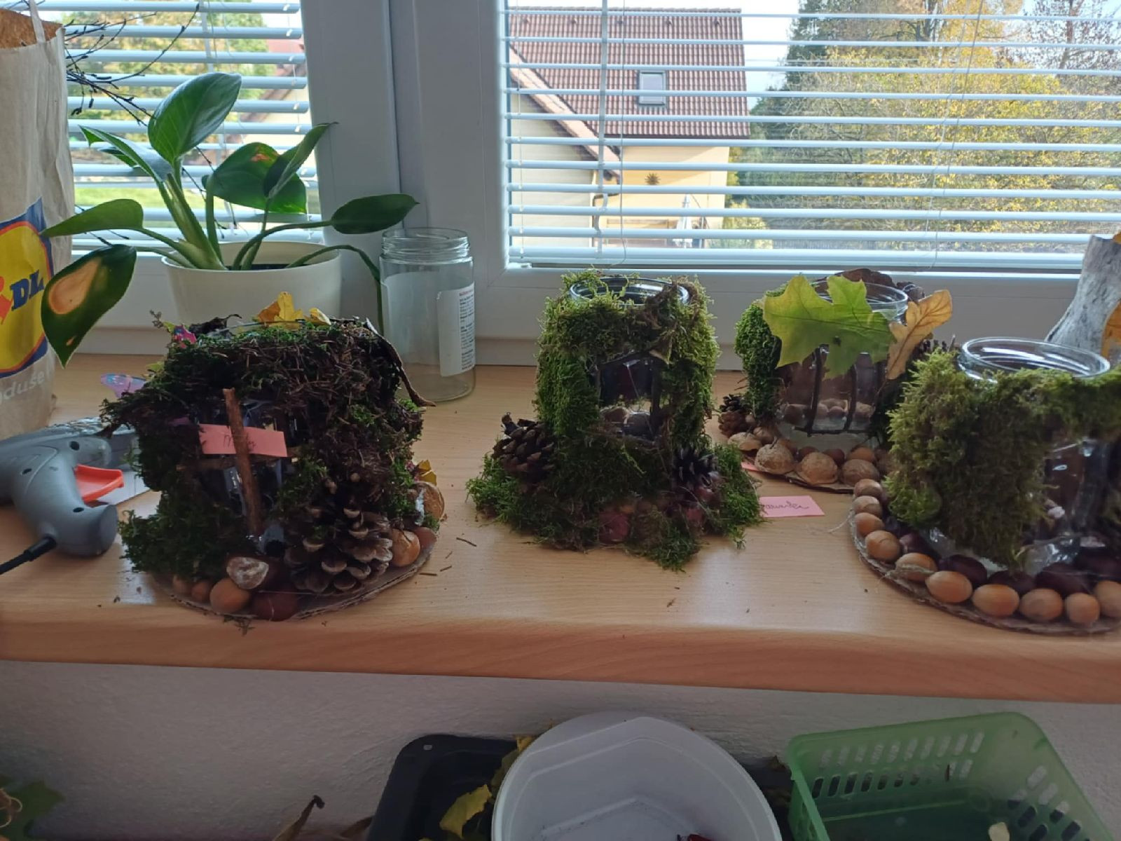 fotografie - 2025-11-01T090725.588