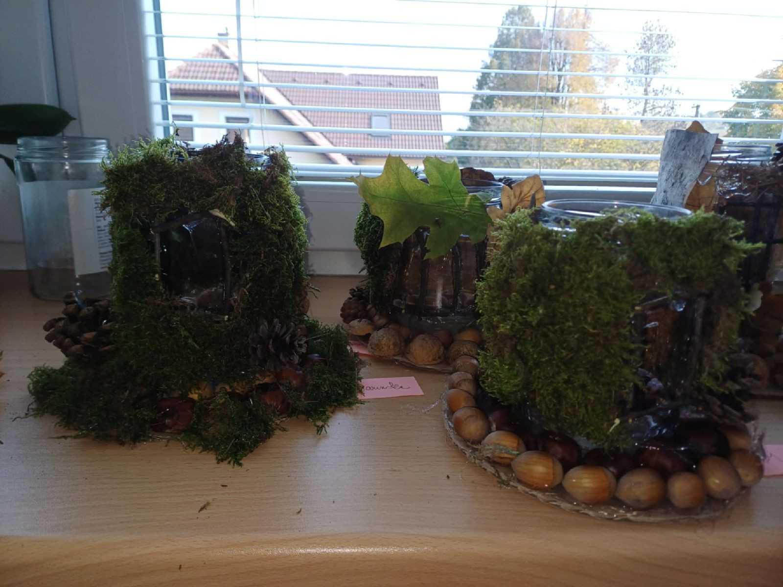 fotografie - 2025-11-01T090726.564