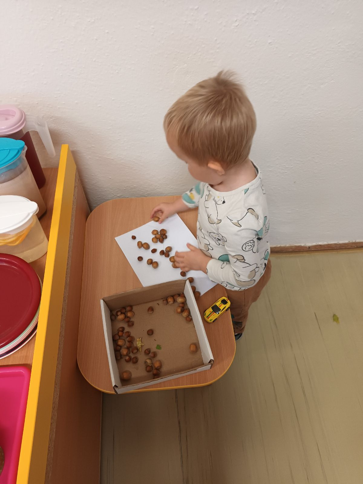 fotografie - 2025-11-01T090730.606