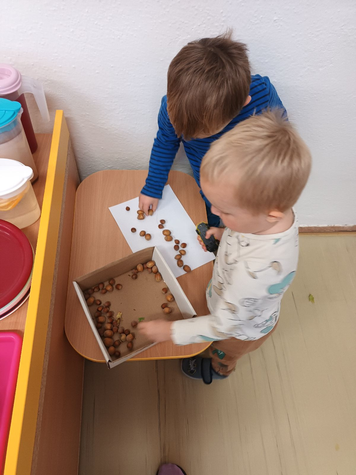 fotografie - 2025-11-01T090735.260