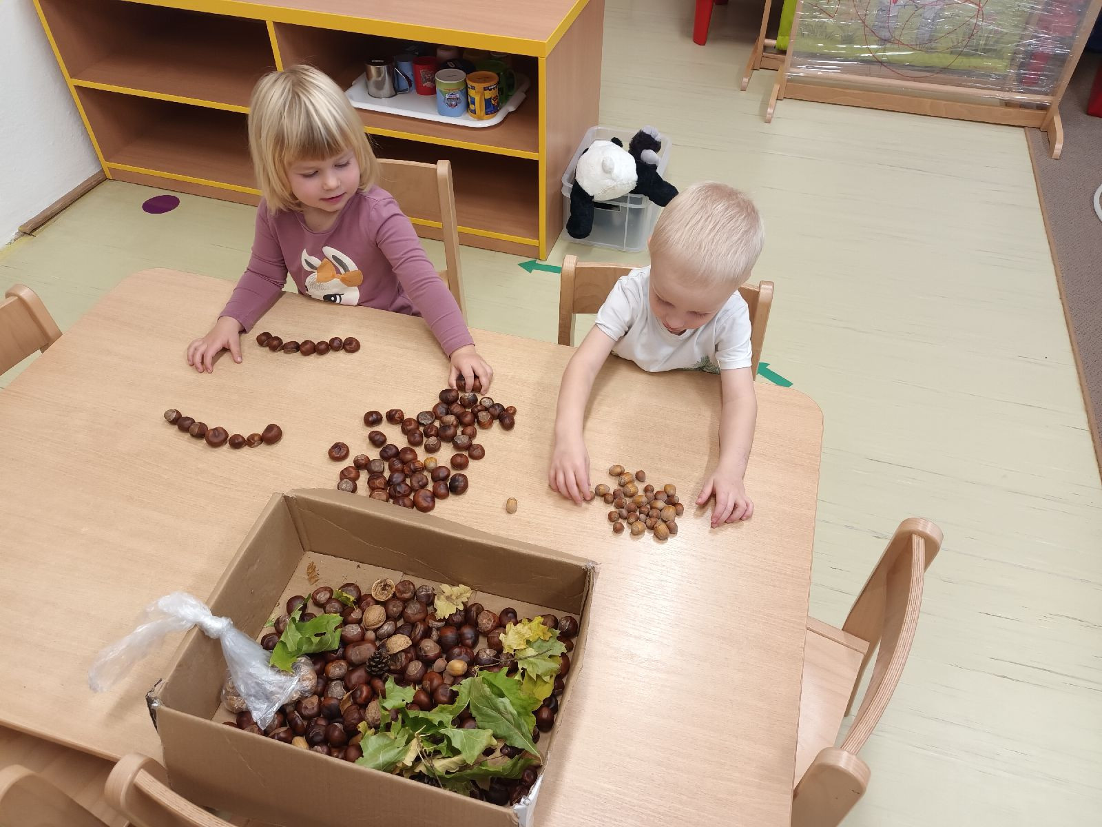 fotografie - 2025-11-01T090739.551