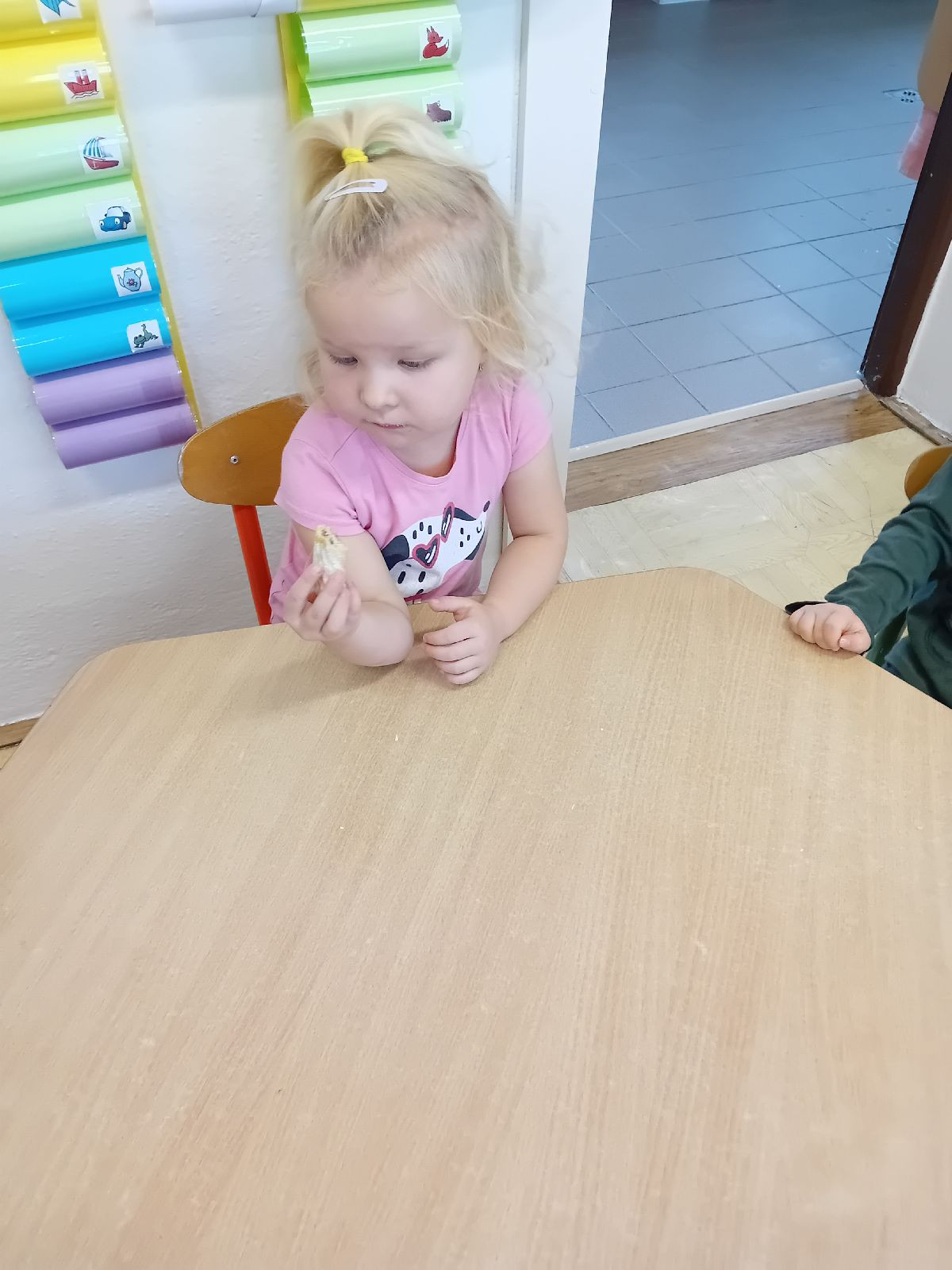 fotografie - 2025-11-09T090328.376