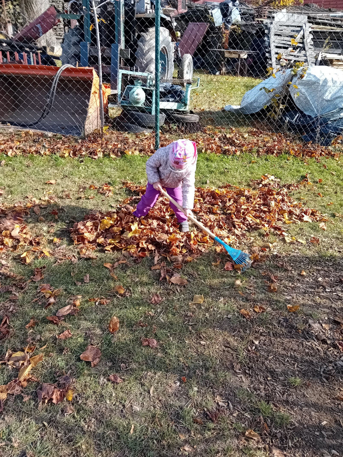 fotografie - 2025-11-09T090604.219