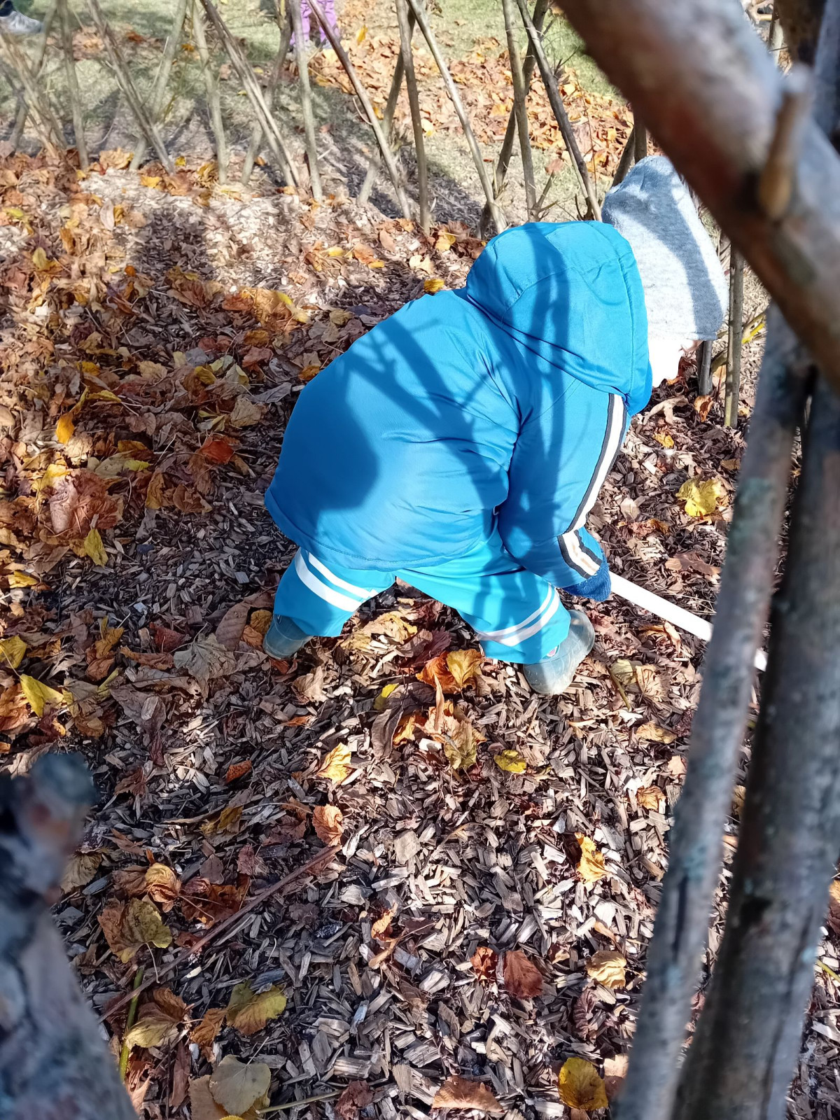 fotografie - 2025-11-09T090605.694