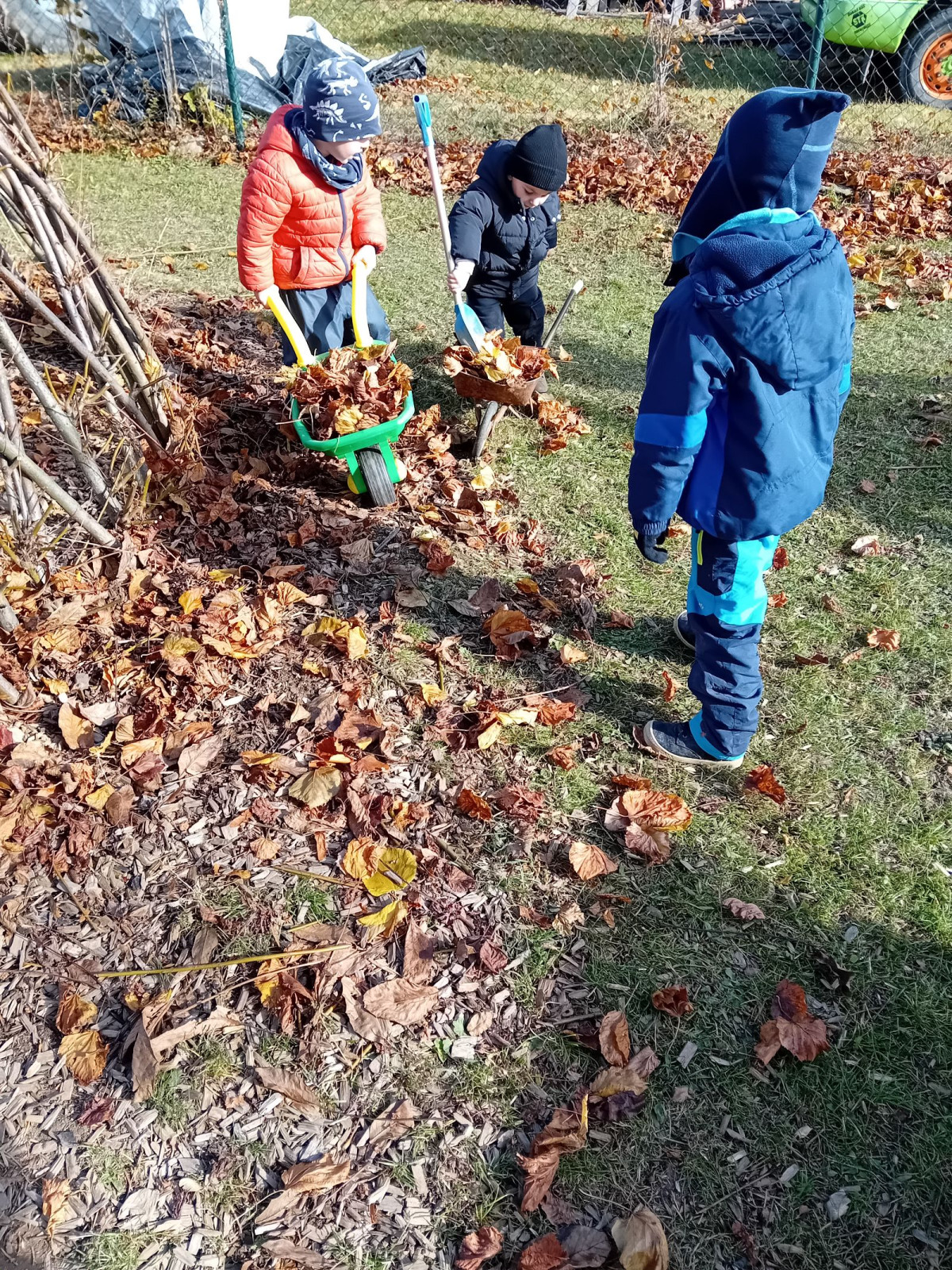 fotografie - 2025-11-09T090607.397