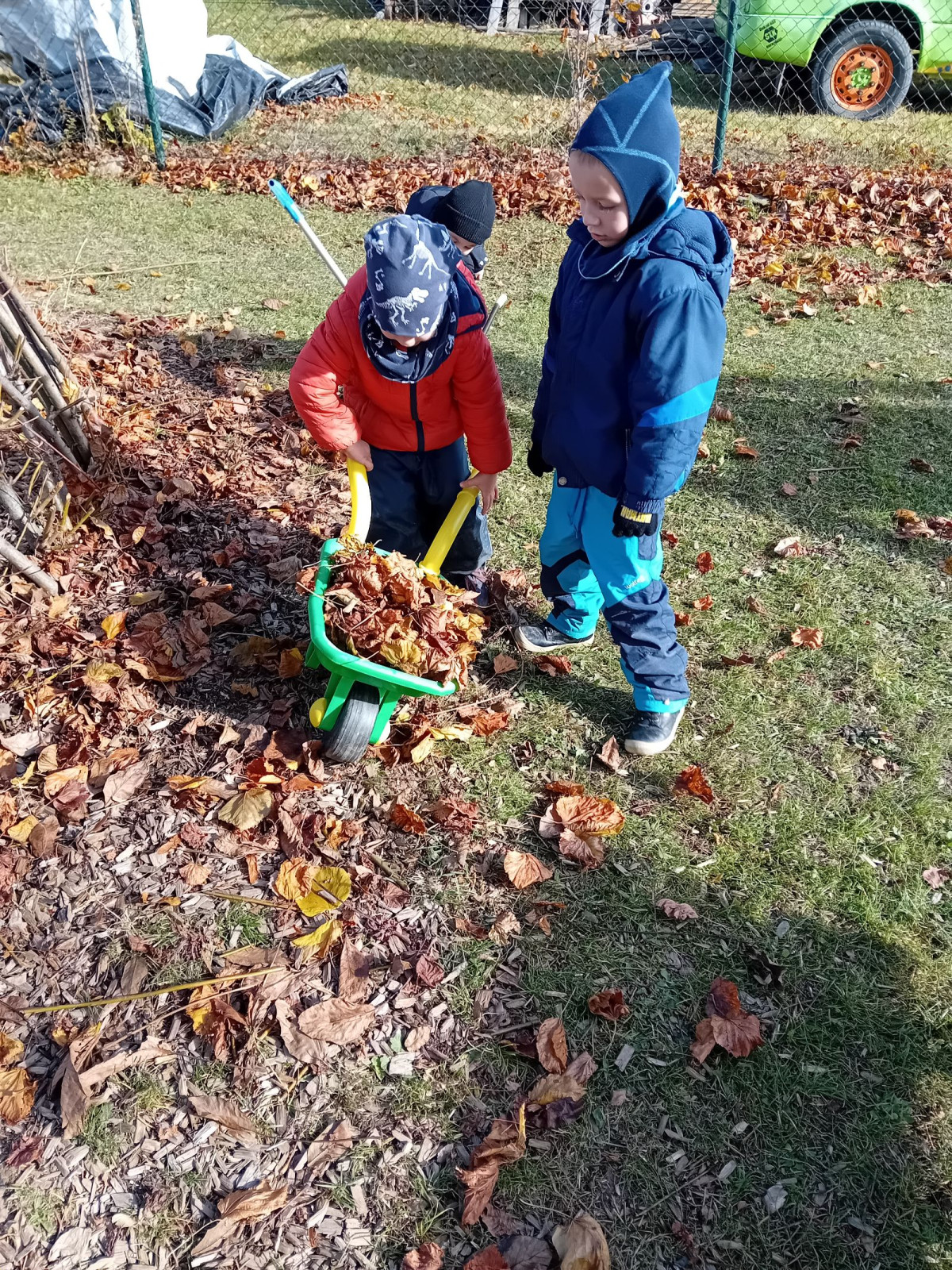 fotografie - 2025-11-09T090608.898