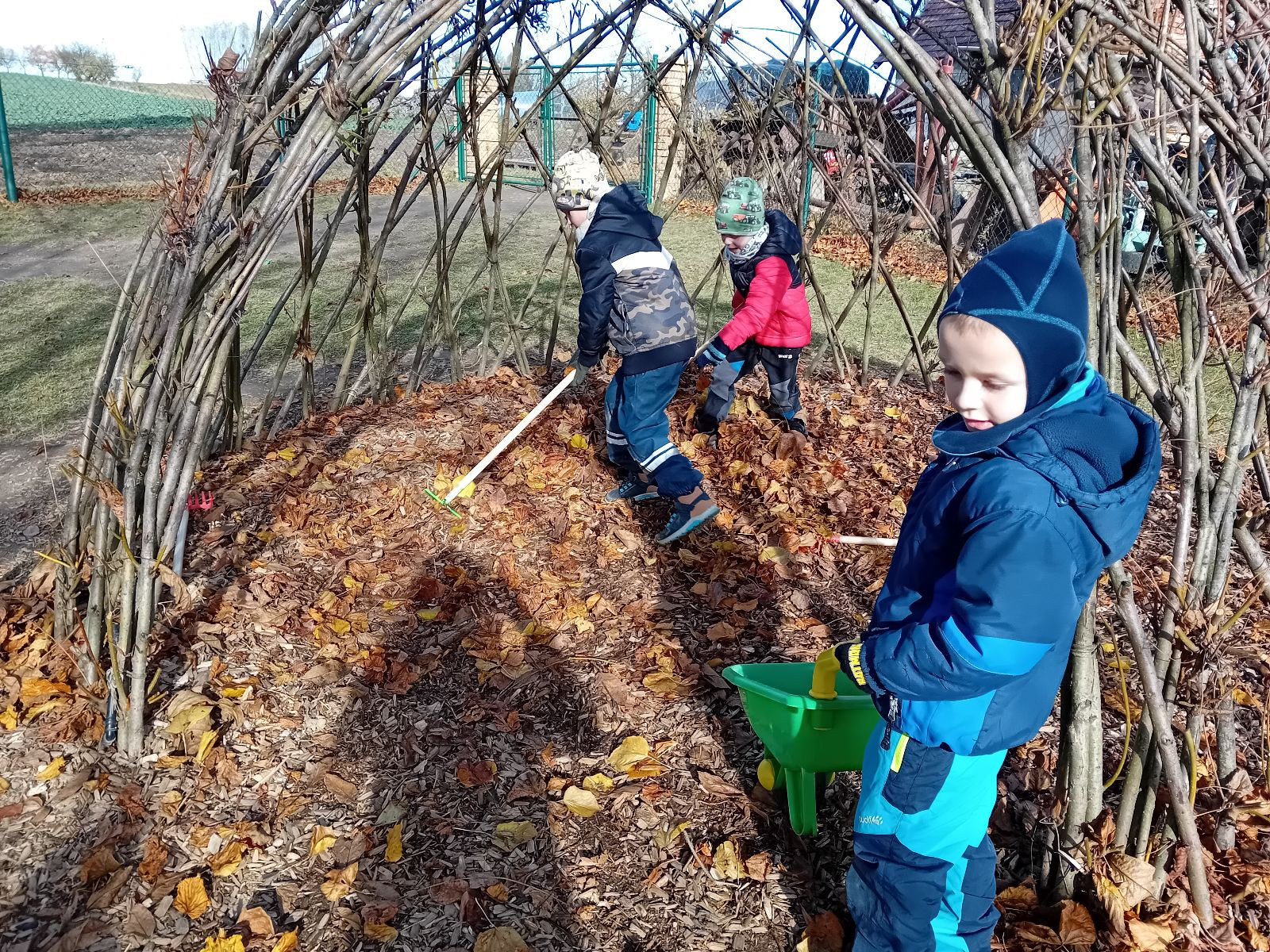 fotografie - 2025-11-09T090612.891