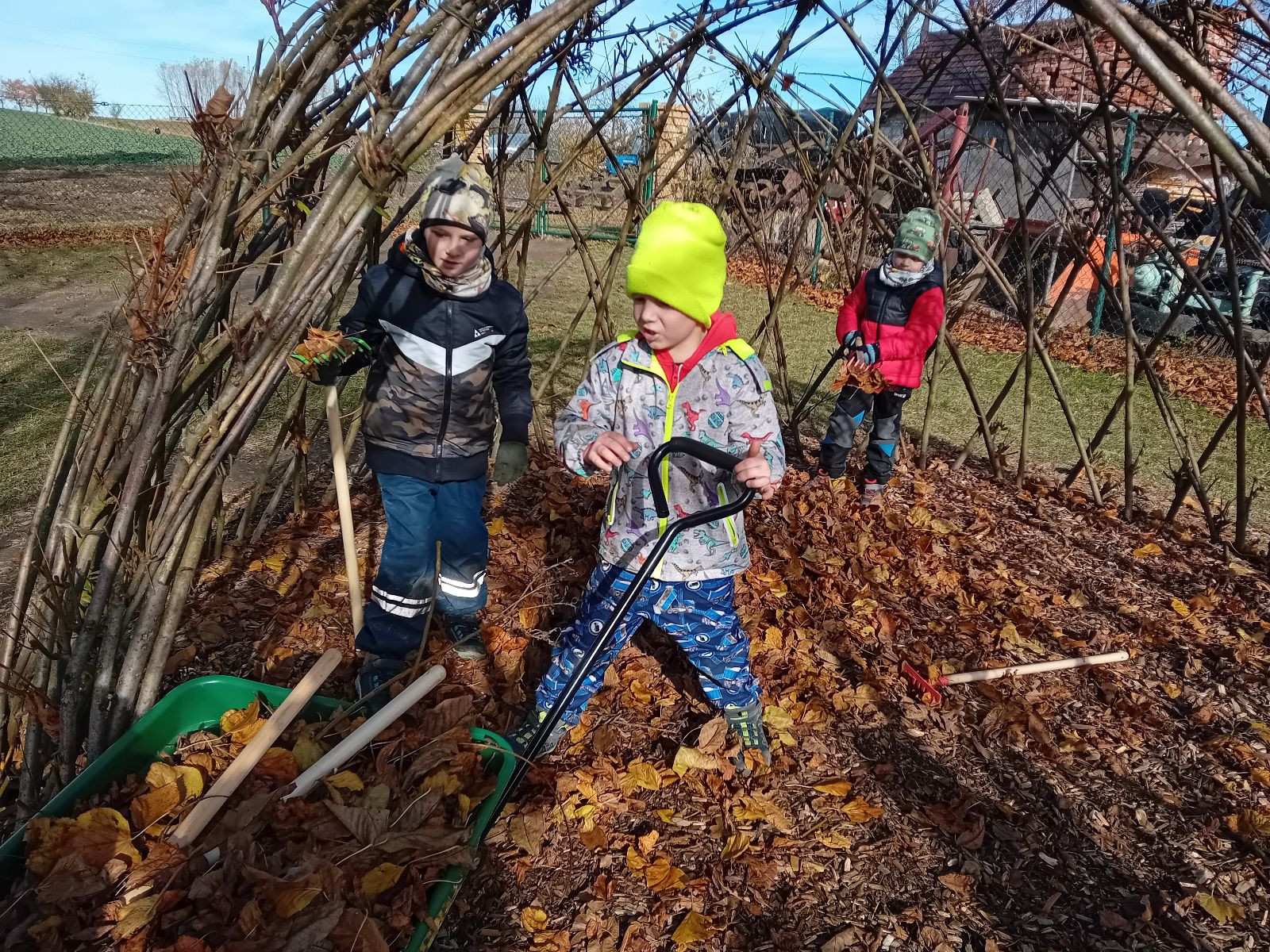 fotografie - 2025-11-09T090618.503