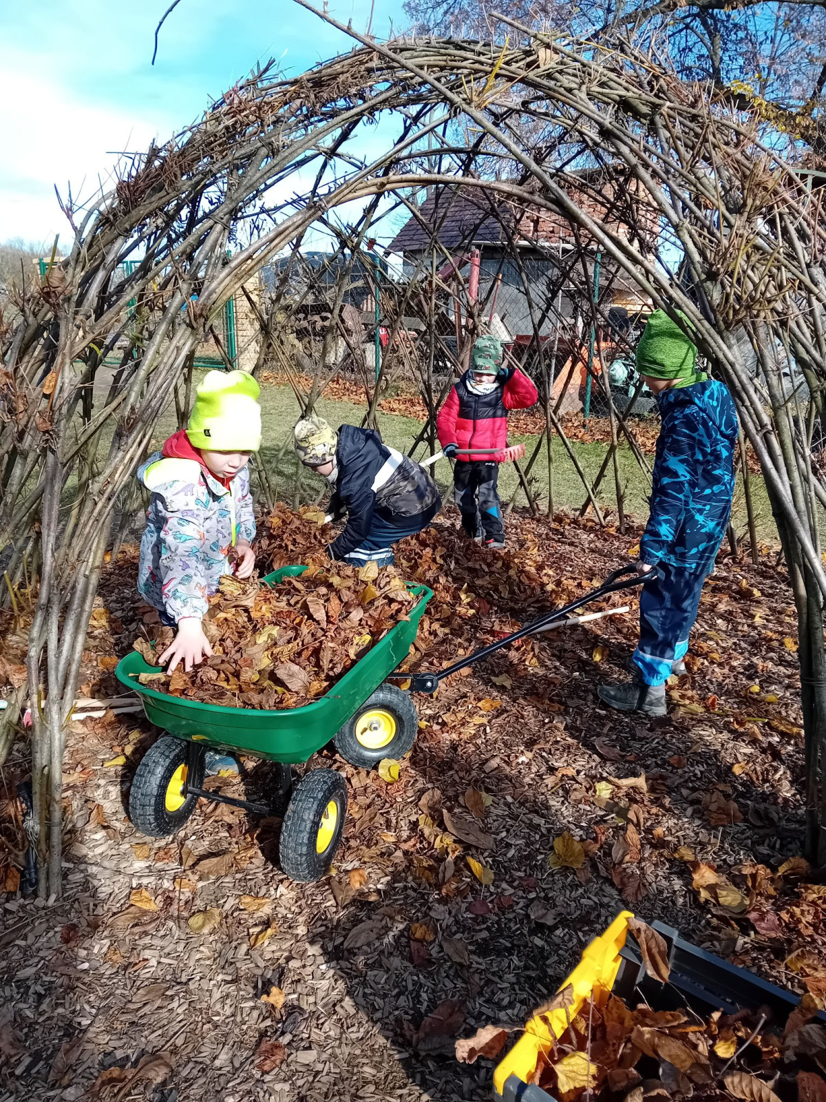 fotografie - 2025-11-09T090619.994