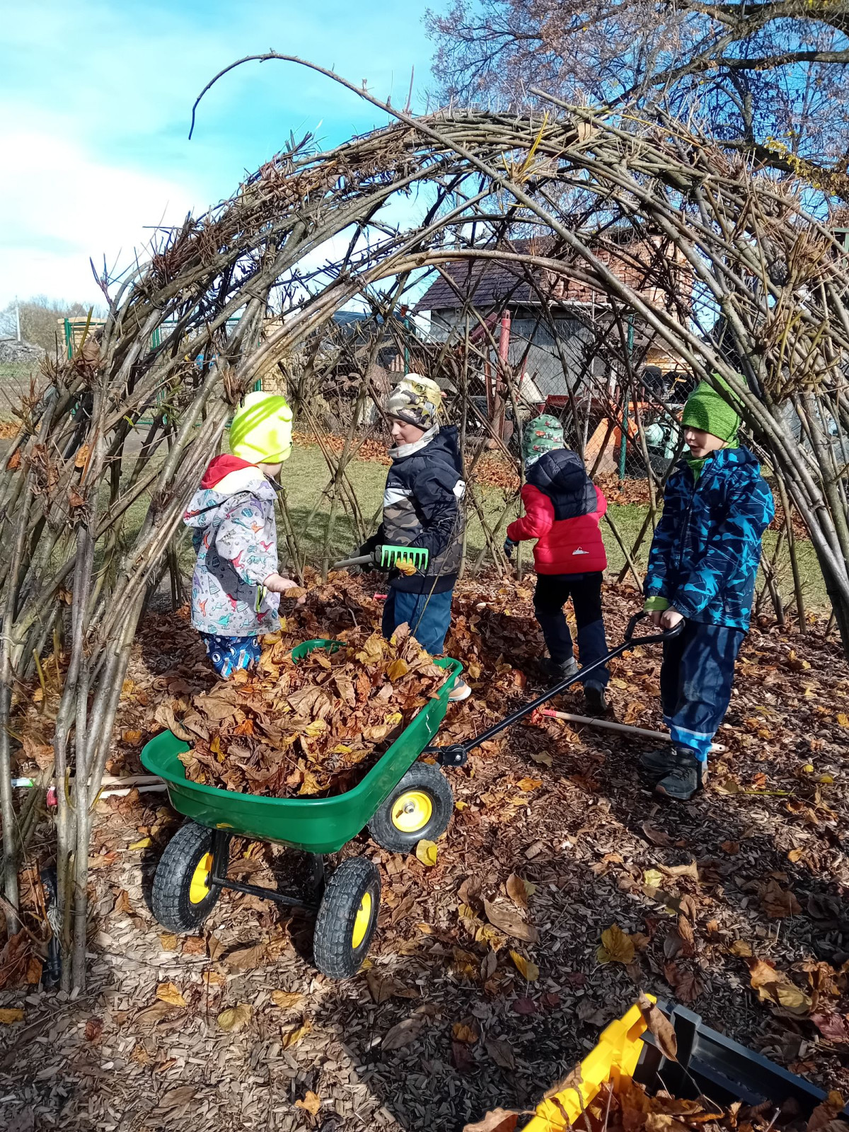 fotografie - 2025-11-09T090621.766