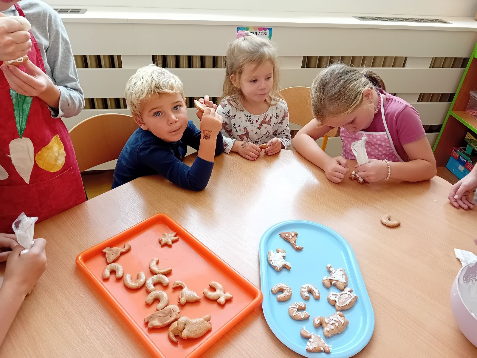 fotografie - 2025-11-09T090740.117