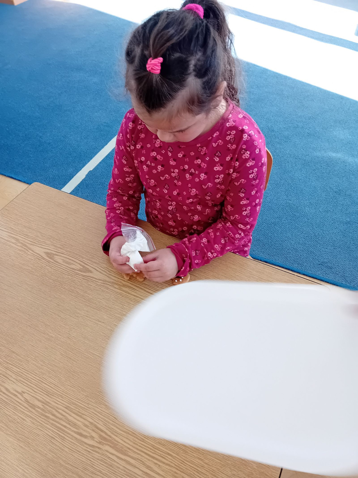 fotografie - 2025-11-09T090743.314