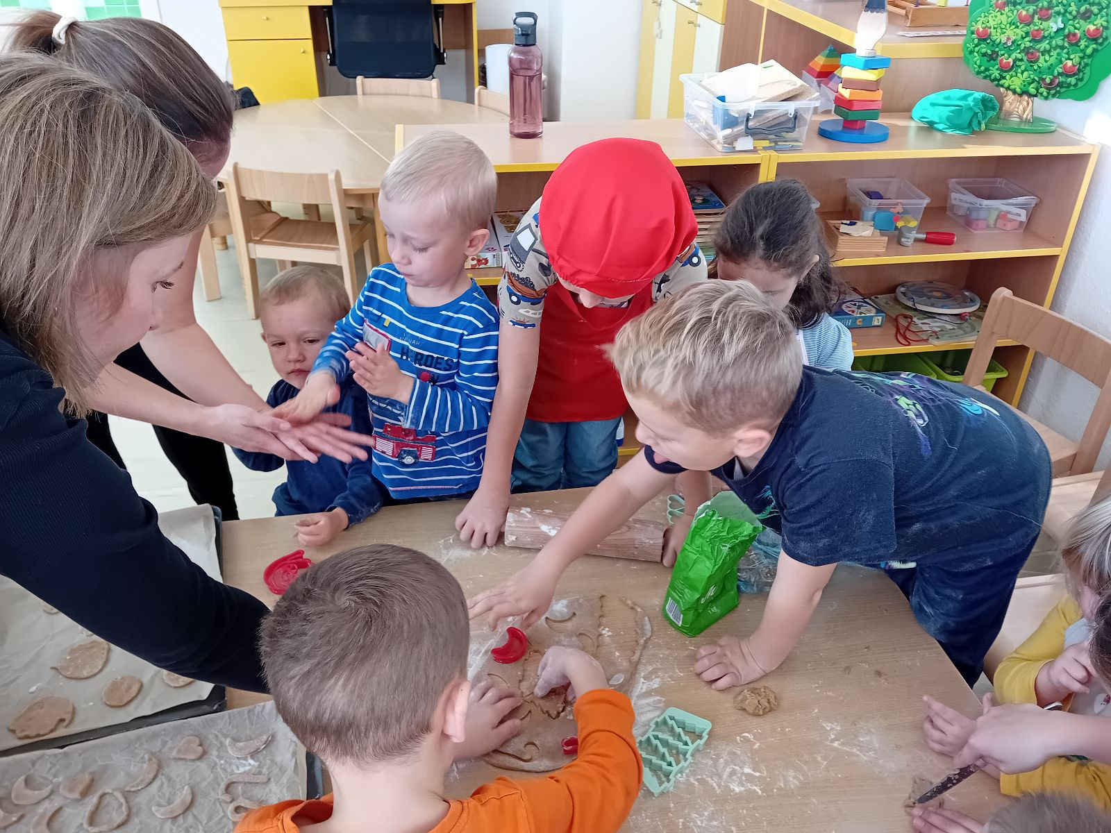 fotografie - 2025-11-09T090746.582