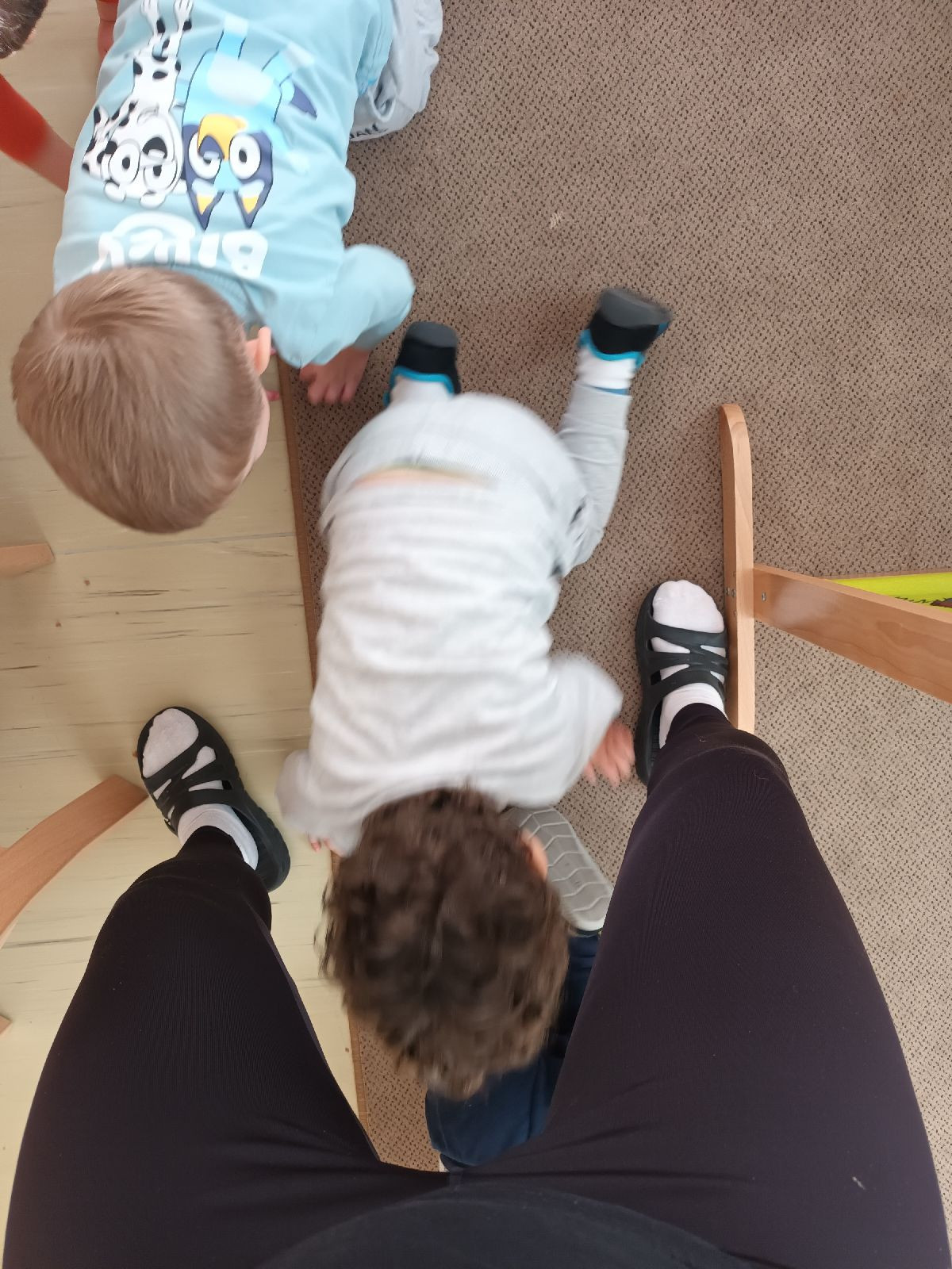 fotografie - 2025-11-09T090928.896