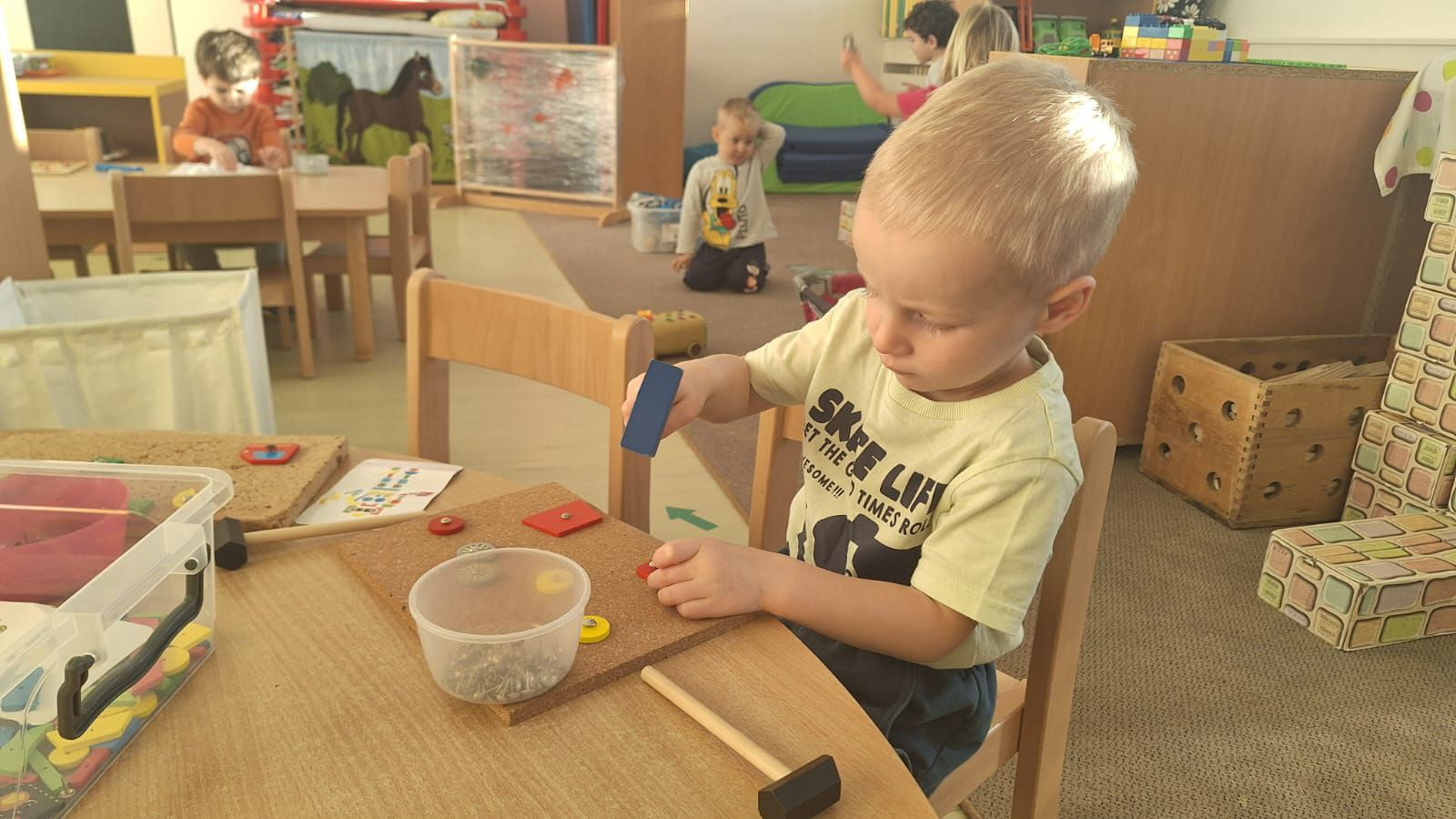 fotografie - 2025-11-09T090948.761