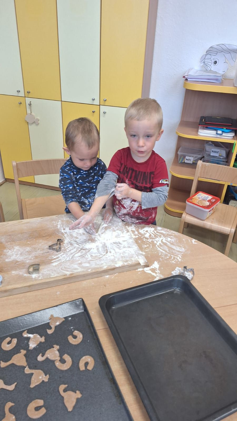 fotografie - 2025-11-09T090957.089