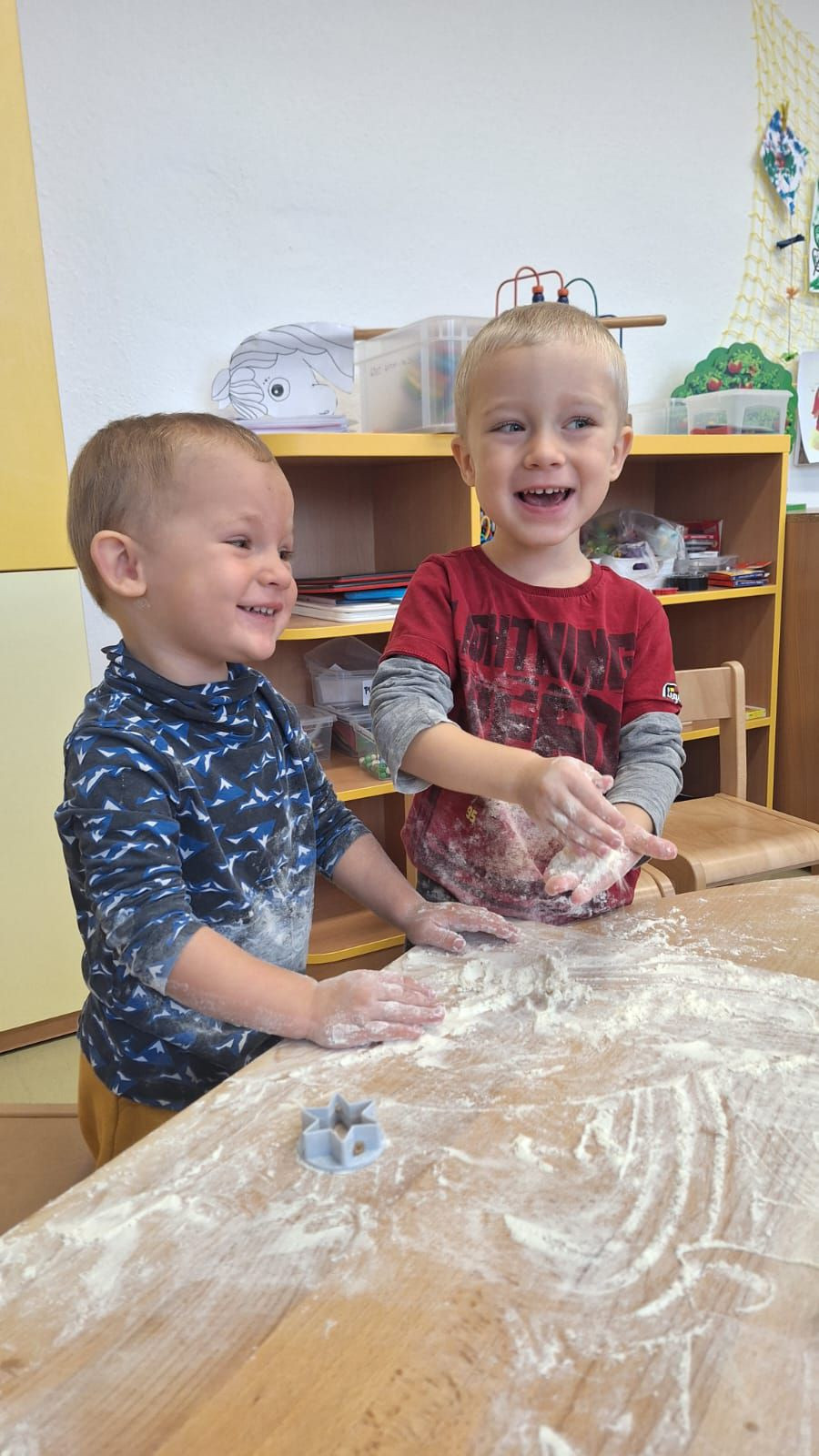 fotografie - 2025-11-09T090958.878