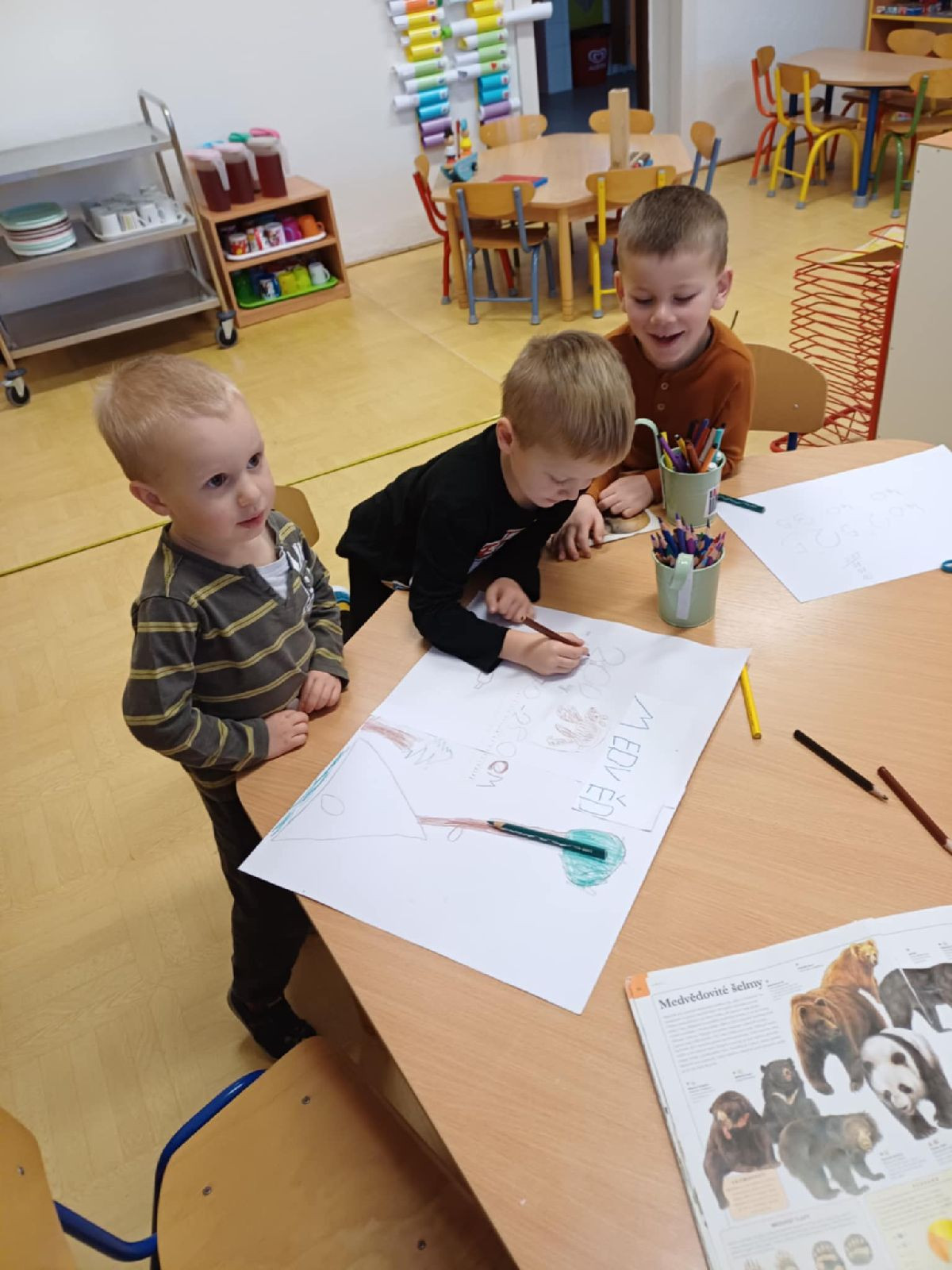 fotografie - 2025-12-03T092335.875