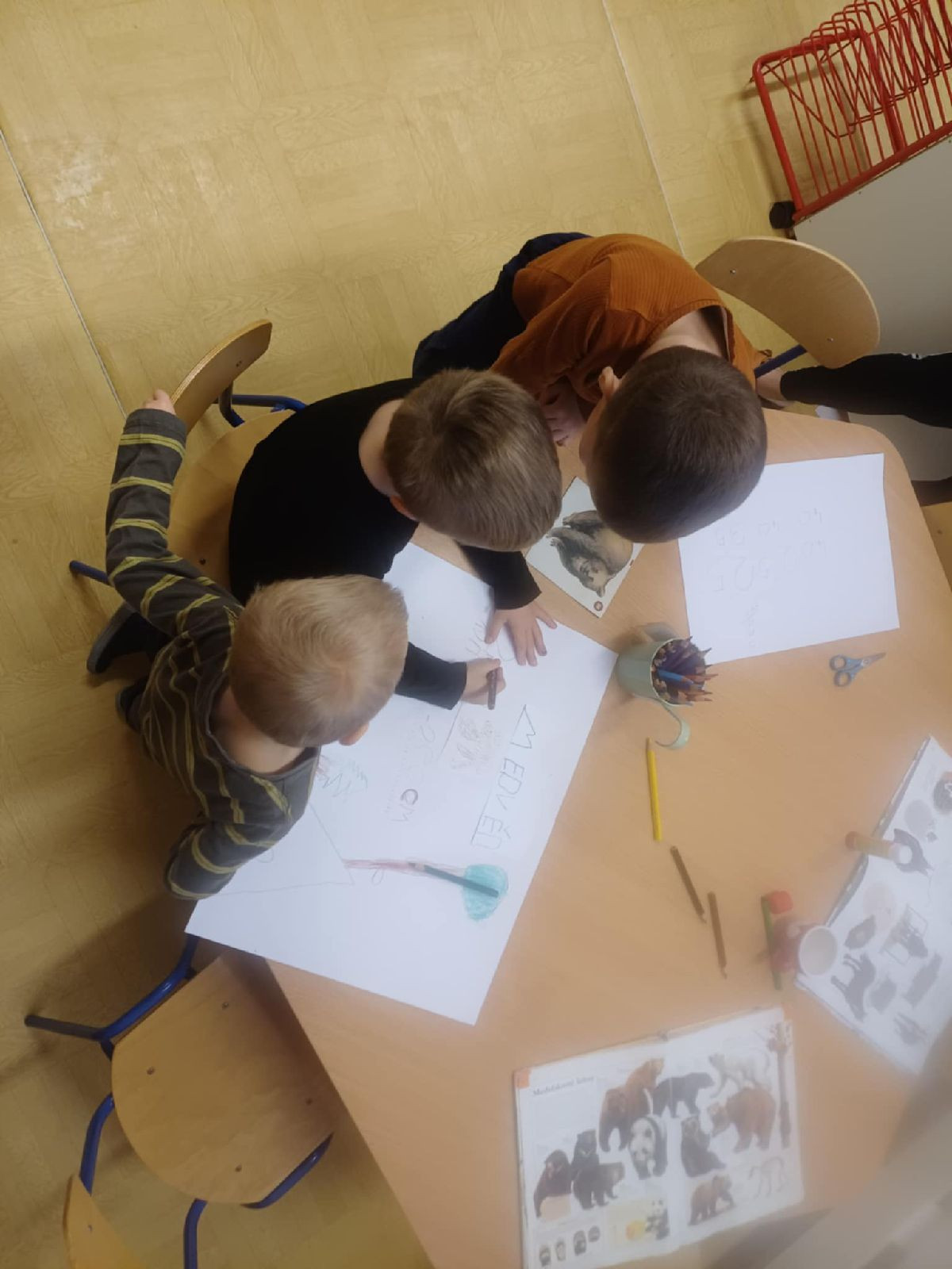 fotografie - 2025-12-03T092340.216