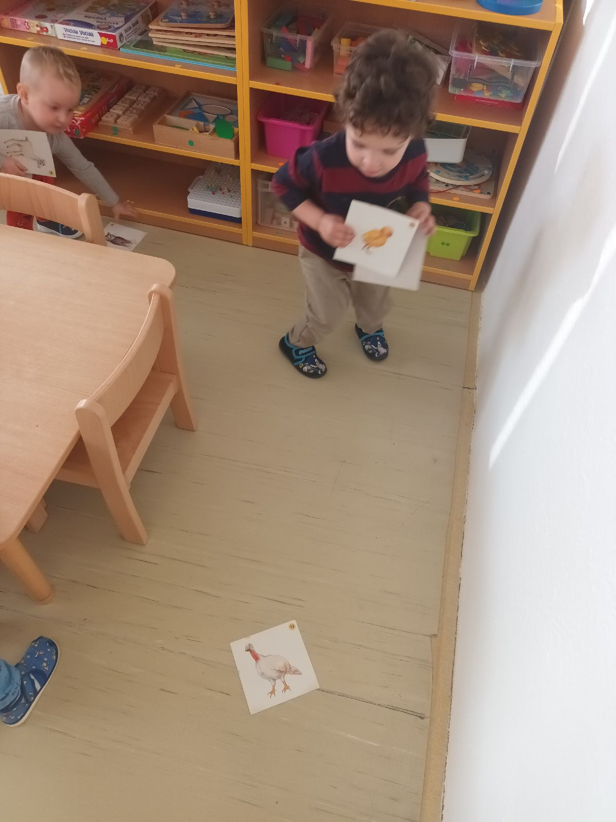 fotografie - 2025-12-03T092624.085