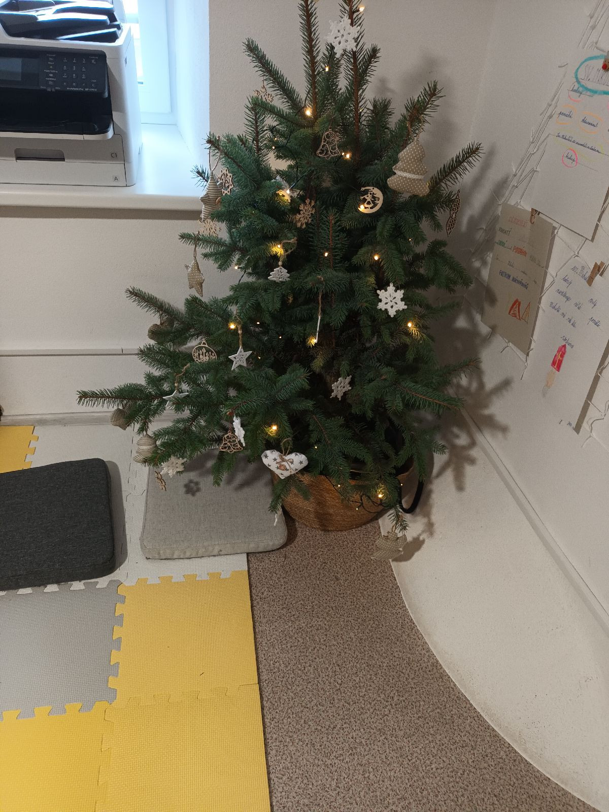 fotografie - 2025-12-12T092720.210