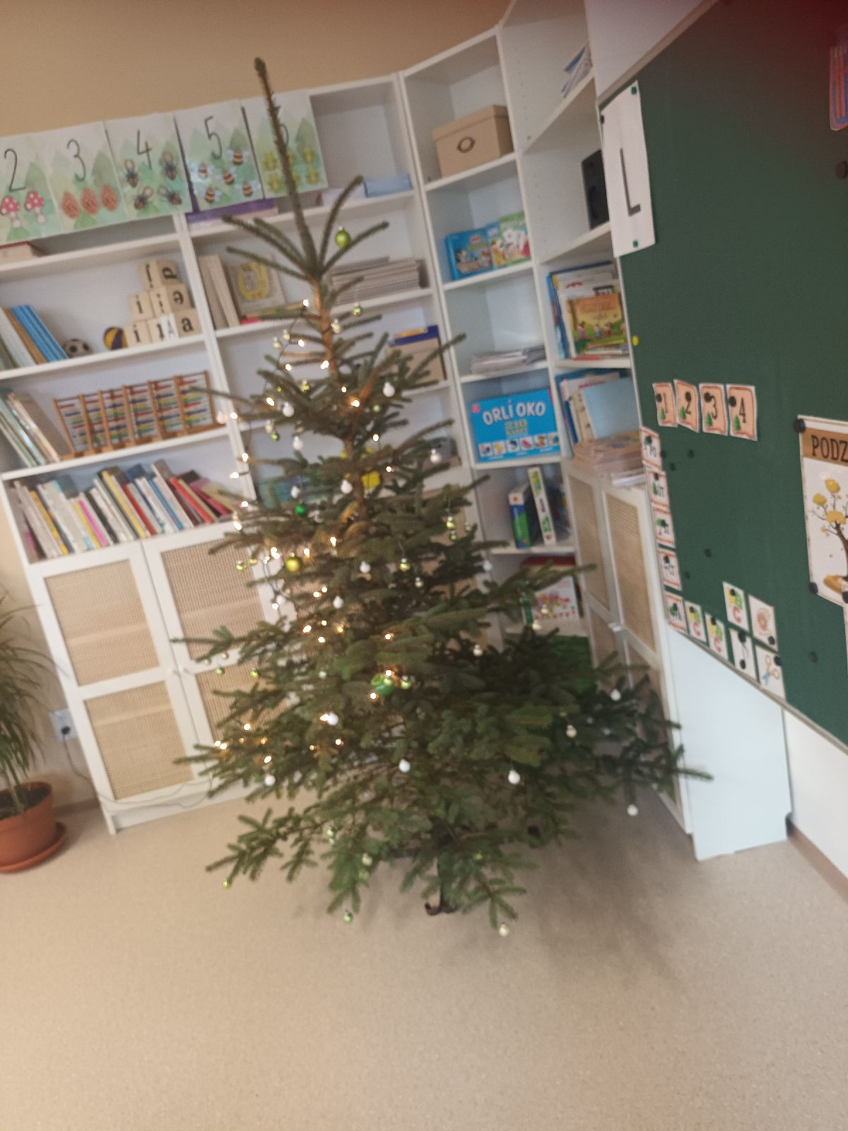 fotografie - 2025-12-12T092756.444