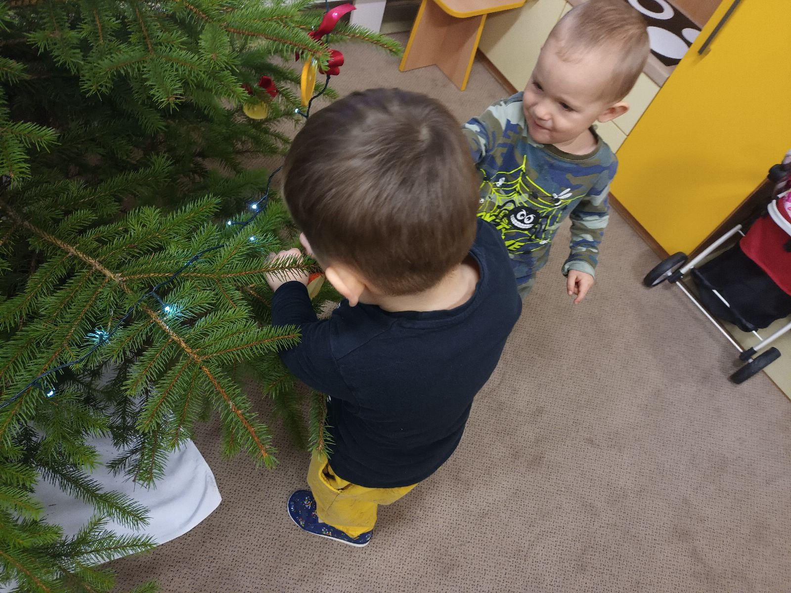 fotografie - 2025-12-12T085012.739