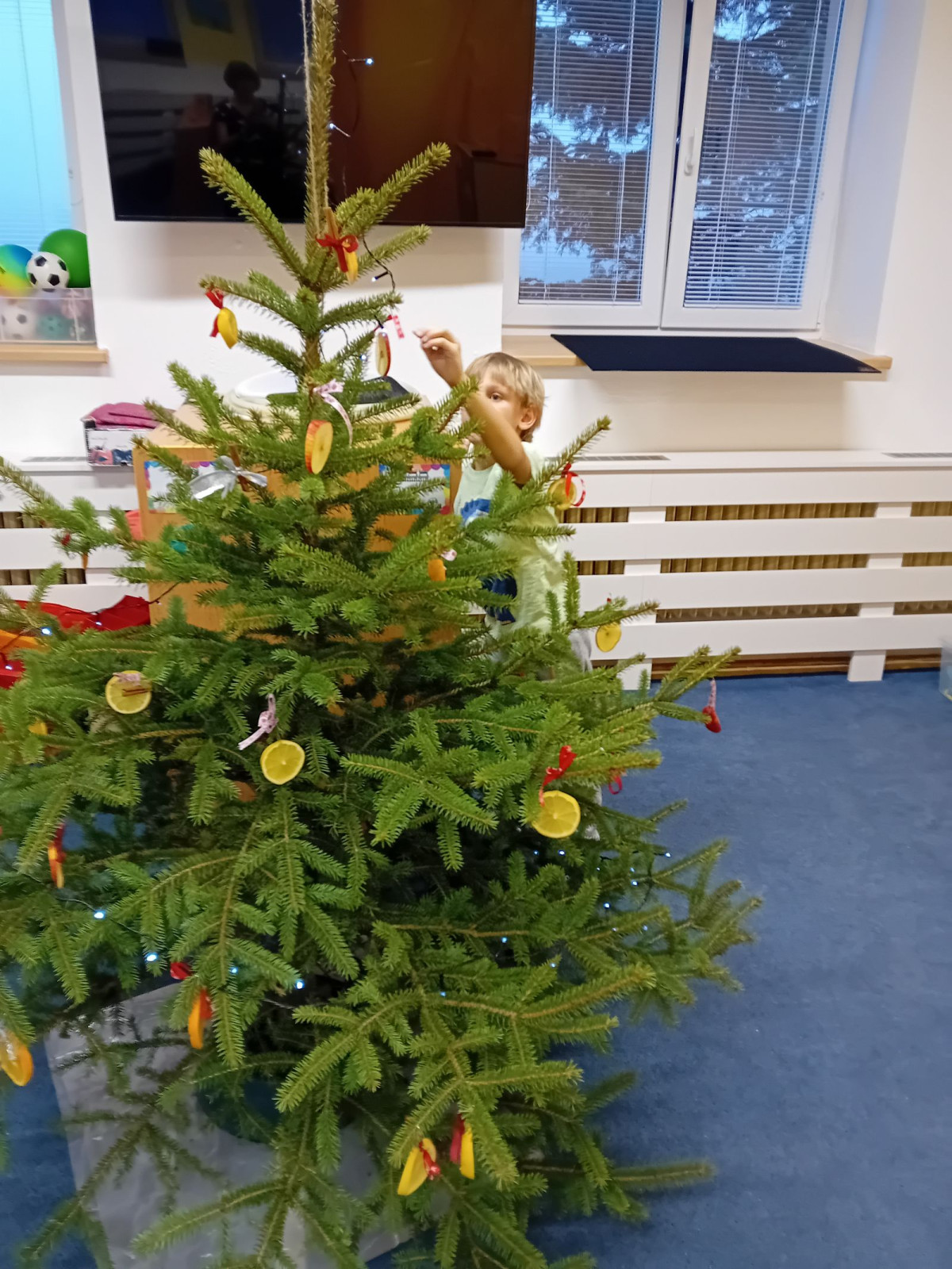 fotografie - 2025-12-12T091115.655