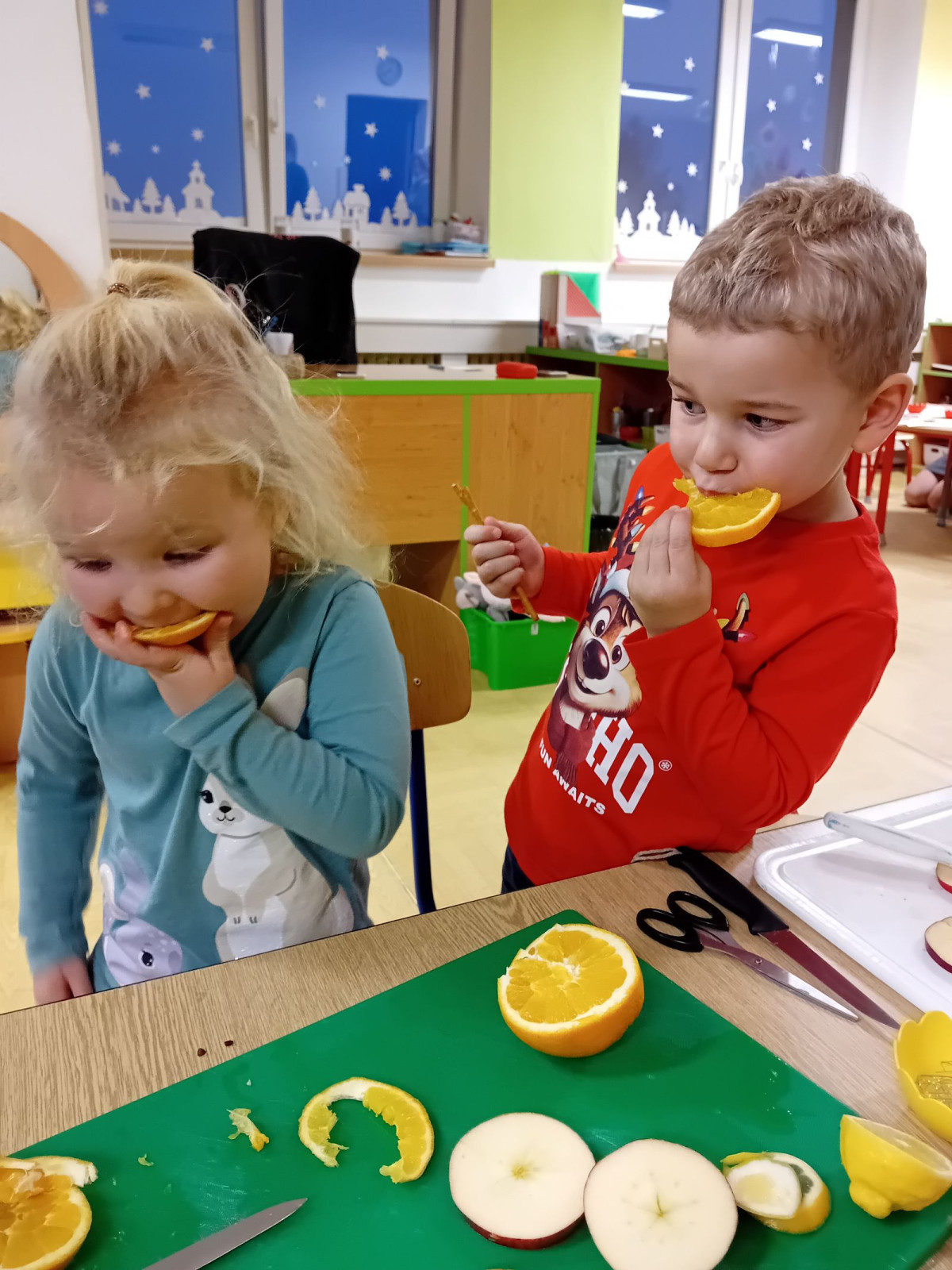 fotografie - 2025-12-12T091204.833